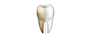 profiplus colsubsidio