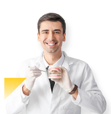 doctor de dentivip con replica de dientes en sus manos