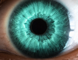 primer plano de ojo con iris verde