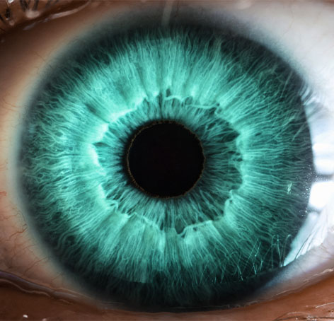 primer plano de ojo con iris verde