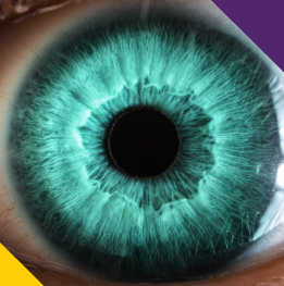 trasplante de cornea