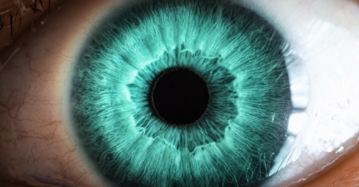 primer plano de ojo con iris verde