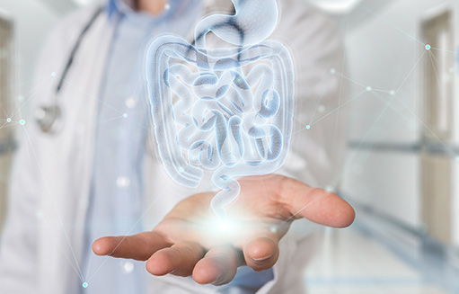 mano de doctor mostrando animacion de intestino